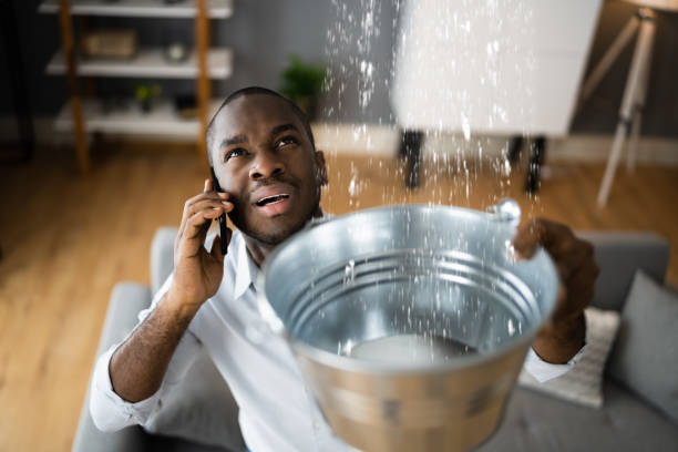 Sewage cleanup and water damage restoration in Pine Island Center, FL