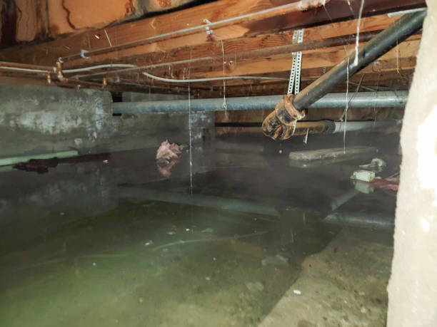 Best Commercial water damage restoration  in Pine Island Center, FL