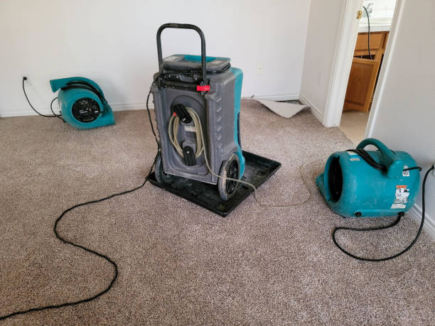  Pine Island Center, FL Water damage restoration Pros