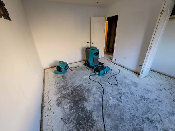 Best Flood damage cleanup  in Pine Island Center, FL