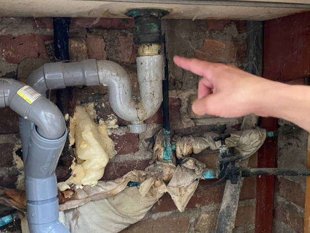 Best Residential water damage restoration  in Pine Island Center, FL