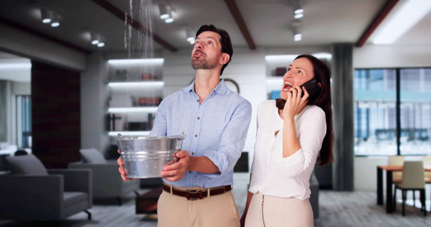 Best 24/7 water damage repair  in Pine Island Center, FL